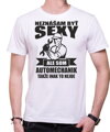 Narodeninový originálny pánsky darček pre každého automechanika-Pánske vtipné tričko zo serie povolania / hobby-Tričko pre automechanikov - Neznášam byť sexy