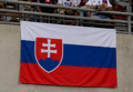 Veľká vlajka: Slovensko 90x150cm