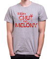 Pánske tričko - Mám chuť na MELÓNY